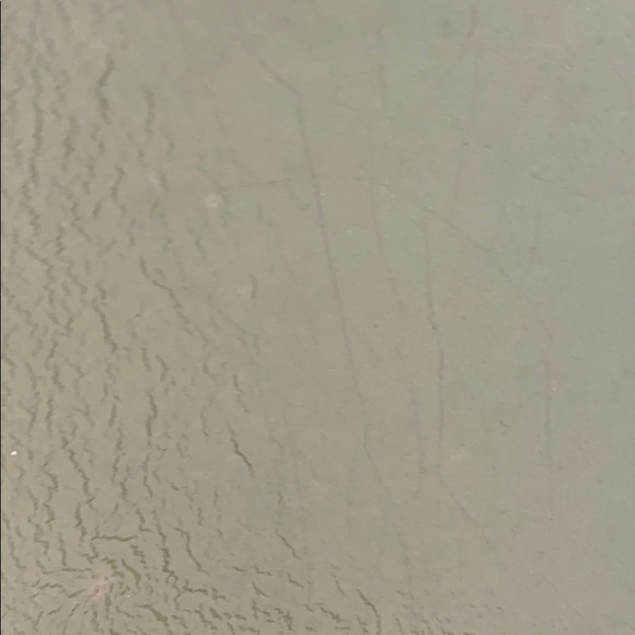 Meet your Posher, Madeleine - Picture 1 of 1